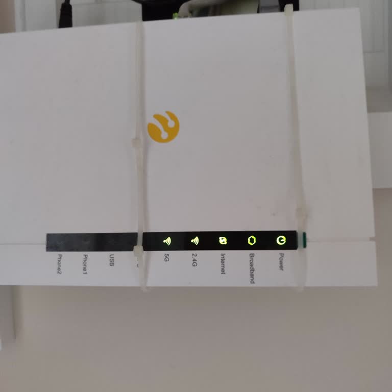 Sürekli İnternet Kopması Ve Çözüm Eksikliği