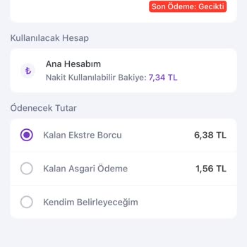İnternet Şubesinde Kredi Kartı Borç Ödemesi Hatası Ve Müşteri Hizmetleri Destek Eksikliği