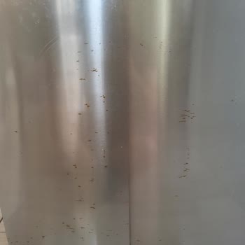 Bosch Buzdolabında Erken Paslanma Ve Ücretsiz Panel Değişimi Talebi