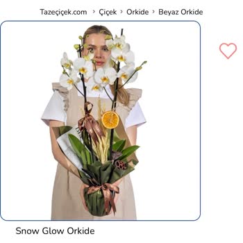 Snow Glow Orkide Görseliyle Uyuşmayan Soluk Ve Cansız Çiçekler