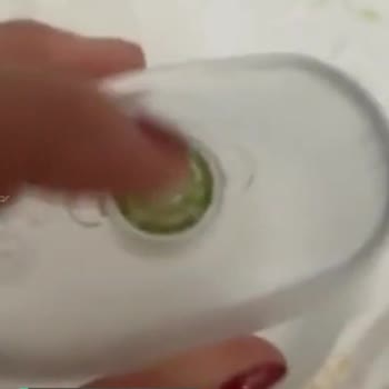 Brita Sürahi İçi Yosunlaşması