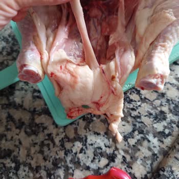 İnönü Mahallesi Hakmar Şubesinde Lezita Piliç Ürününün Hijyen Sorunu