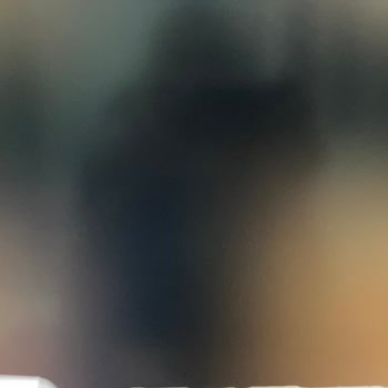 Monitörümde IPS Glow Ve Piksel Hataları Servis Tarafından Reddedildi
