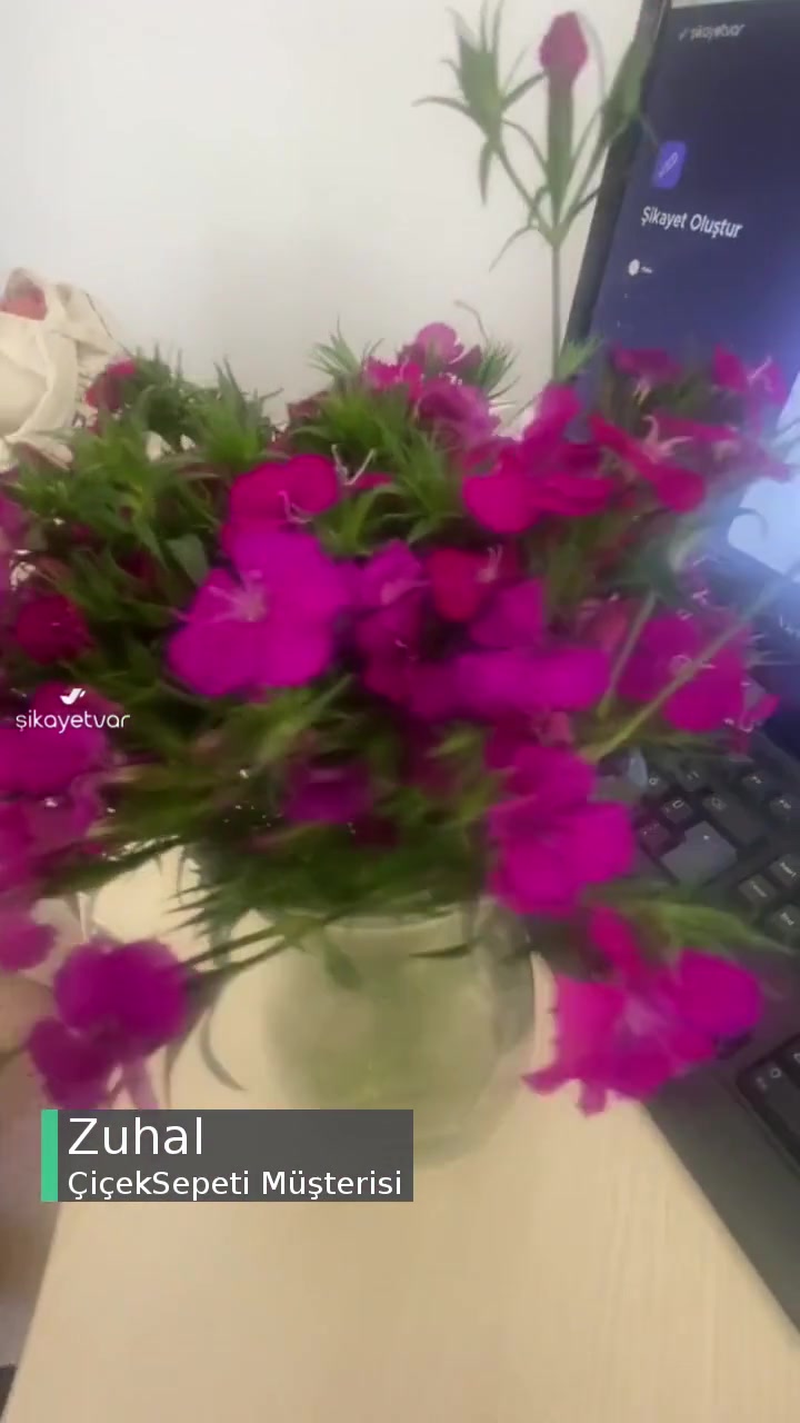 Çiçek Sepeti Özensizliği videonun kapak resmi