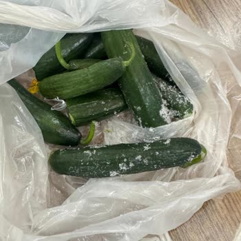 Garanti Kapsamındaki Vestel Buzdolabı Ve Çamaşır Makinesi Ayıplı, İade Talebi