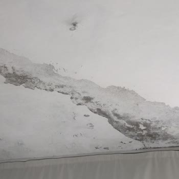 Balkondan Su Sızıntısı Ve Tavan Hasarı Sigortada Kapsam Dışı Bırakıldı