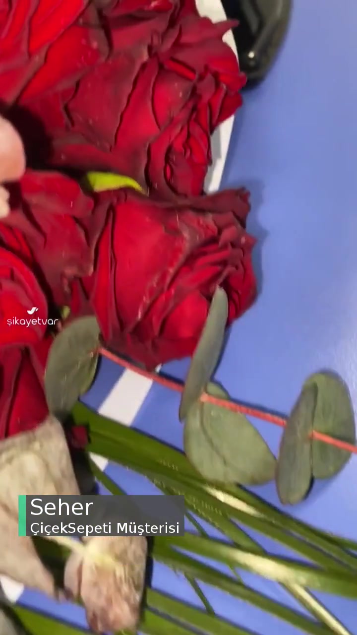 Çiçek Sepeti Çiçeğin İade Alınmasını İstiyorum videonun kapak resmi