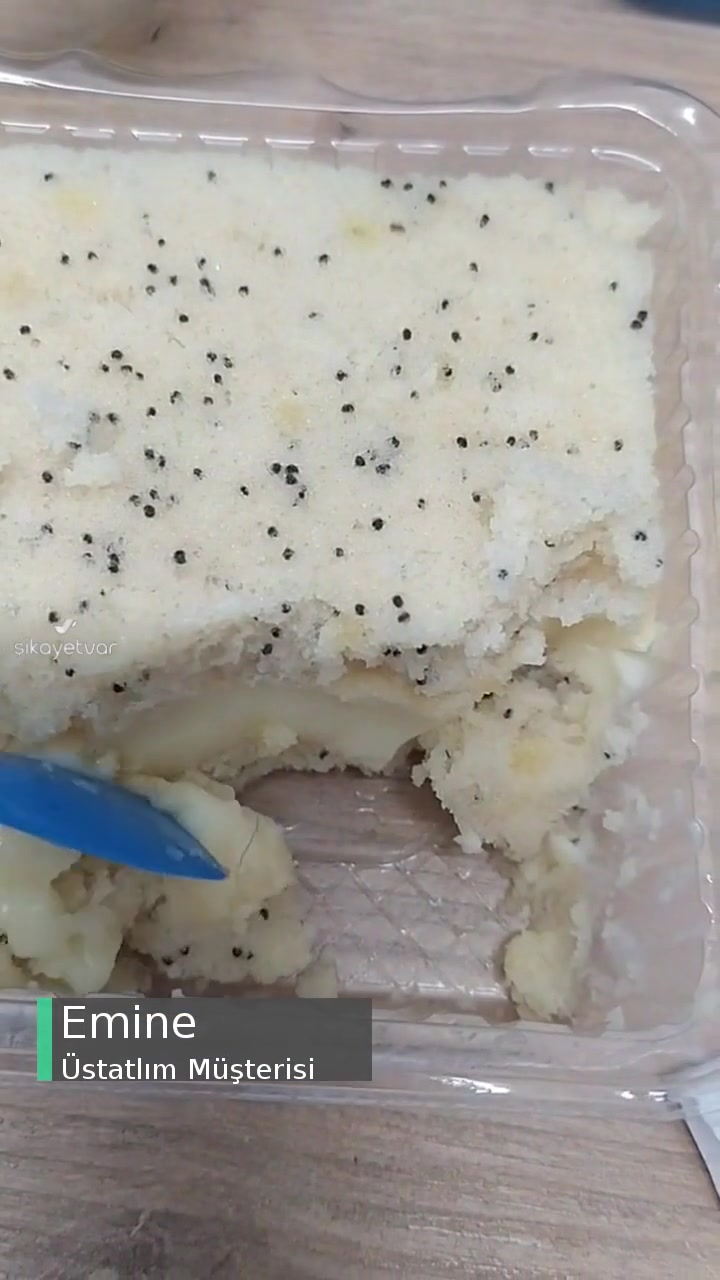 Üstatlım Tatlıdan Kıl Çıkması! videonun kapak resmi