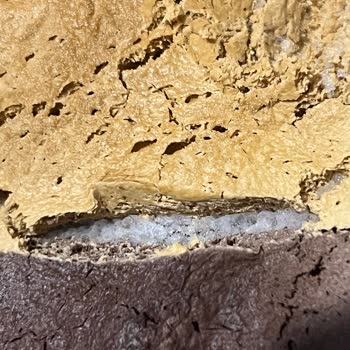 Bozulmuş Dondurma Hamile Eşime Hastalık Getirdi, Şirket Cevap Vermedi