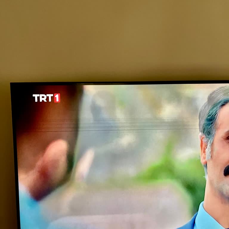 Garanti Sonrası Kronik Panel Şerit Sorunu Ve Yetkili Servisin 22 Bin TL Ücret Talebi