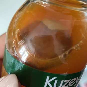 Kuzeyden Meyve Suyunda Yoğun Küf: Sağlık Riski Ve İade Talebi