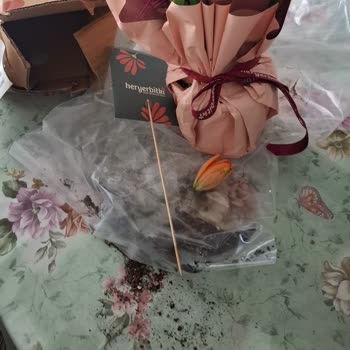 Heryerbitki Kusurlu Teslim Edilen Çiçek