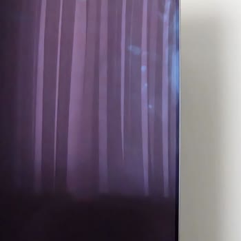 Samsung OLED TV'de Ekran Lekesi Ve Yanlış Temizleme İade Talebi