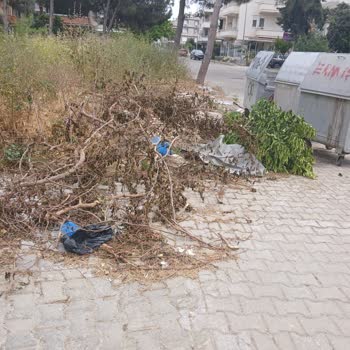 Sokak Görüntü Kirliliği Ve Yetkisiz Atık Bırakma Konusunda Denetim Ve Temizlik Talebi