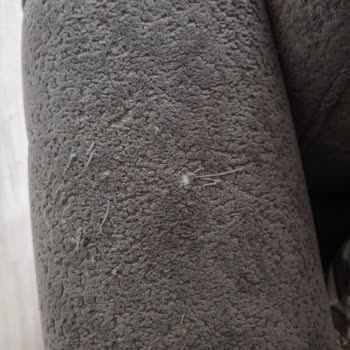 Kelebek Mobilya’nın ‘Pati Dostu’ İddiası Gerçekleşmedi, Kumaş Hızla Deforme Oldu