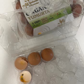 Ali Baba'nın Bahçesi Yumurtanın Küflenmiş Olduğunu Gördüm