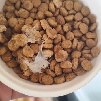 Virbac Veterinary Şikayeti