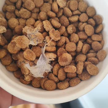 Virbac Veterinary Şikayeti