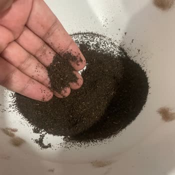 Çaykur Tiryaki Çayda Aşırı Toz Ve Bulanık Su