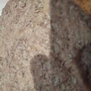 Bozuk Köfte Ve Hijyen Sorunu Nedeniyle İade Talebi