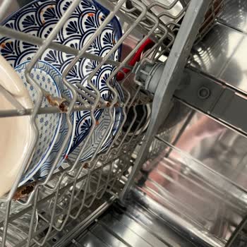 Samsung Bulaşık Makinesinde Paslanan Teller Ve Yardımsız Servis