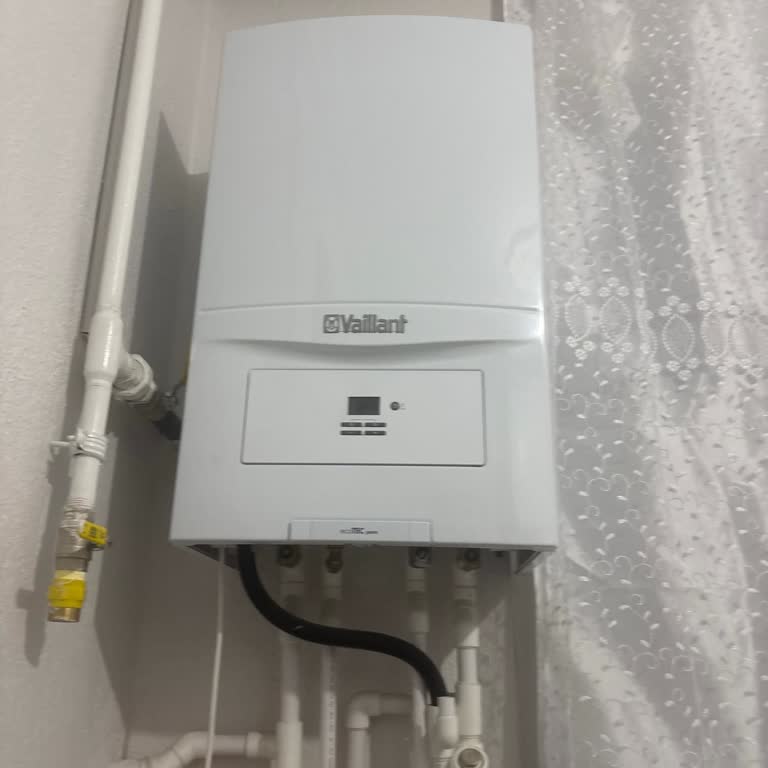 Vaillant Şikayeti