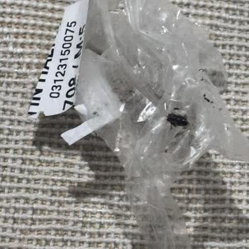 Halı Yıkamada Hamam Böcekleri Ve Hijyen İhlali, 2300 TL İade Talebi