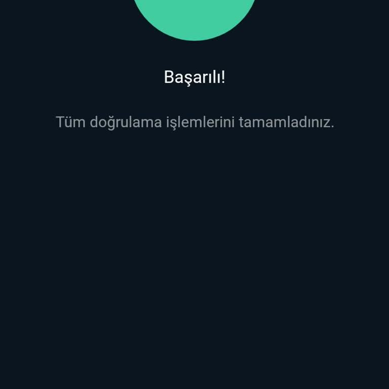 Bitexen Global Transferi 60 Saat Boyunca Askıda, Destekten Yanıt Gelmedi