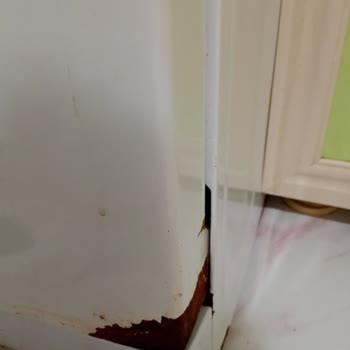 Altus Bulaşık Makinesinde Yan Koruma Sacları Tekrar Paslanıyor, Çözüm Talebi