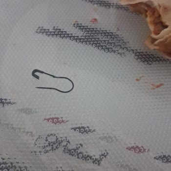Kebapçıbey Sakarya Lahmacun İçinde Açık İğne: Gıda Güvenliği Ve Müşteri Güveninde İhlal