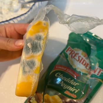 President Marble Cheddar Peynirde Küf Görülmesi Ve İade Talebi
