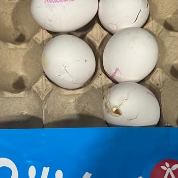 BİM Bili Bili Yumurta Paketi Beş Kırık Yumurta İçeriyor, Tüketicileri Uyarıyor