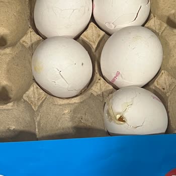 BİM Bili Bili Yumurta Paketi Beş Kırık Yumurta İçeriyor, Tüketicileri Uyarıyor