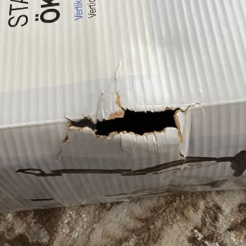 Kırık Ve Deforme Gelen Dikey Süpürge İçin Koşulsuz İade Talebi