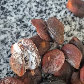 A101 Şubesinde Çerezya Gün Kurusu Paketi İki Defa Küflü Ve Kurtlanmış