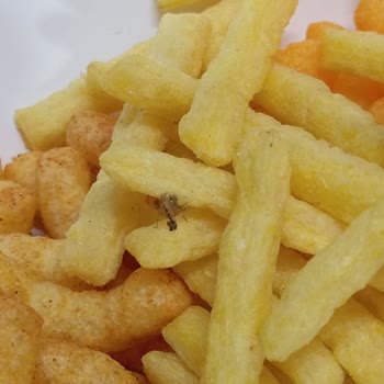 Cheetos Paketi İçinde Böcek Görüldü