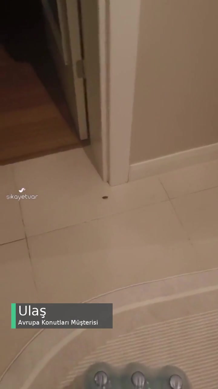 Ispartakule Avrupa 3 Sitesi Hamam Böceği İstilası videonun kapak resmi