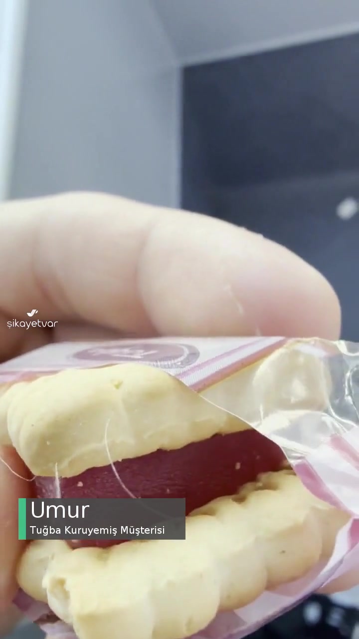 Tuğba Kuruyemiş Saçlı Ve Kıllı Bisküvi videonun kapak resmi