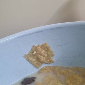 Kellogg's Gevreğinde Kurt Bulunması Hijyen Sorunu