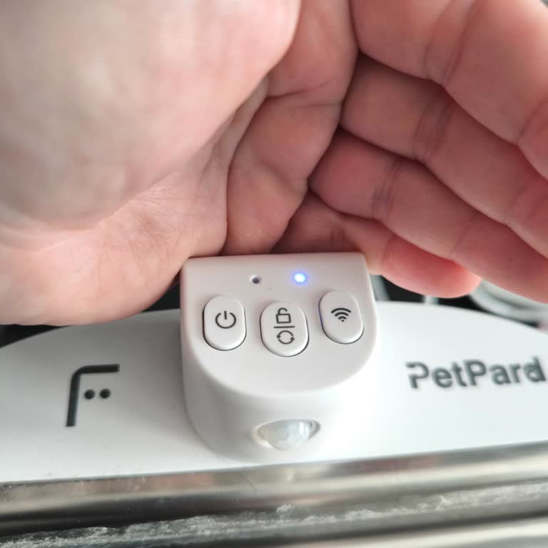 Fakir Petpard Su Pınarında LED Renkleri Açıklanmaz, Cihaz Çalışmaz