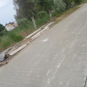 Kuşadası Belediyesi Yeşil Alan Bakımsızlığı Görüntü Kirliliği Ve Yangın Tehlikesi Yaratıyor