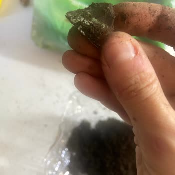 Migros Sanal Market’te Satın Alınan Saksı Toprağında Cam Parçası Bulunması Büyük Tehlike Yarattı