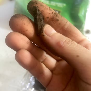 Migros Sanal Market’te Satın Alınan Saksı Toprağında Cam Parçası Bulunması Büyük Tehlike Yarattı