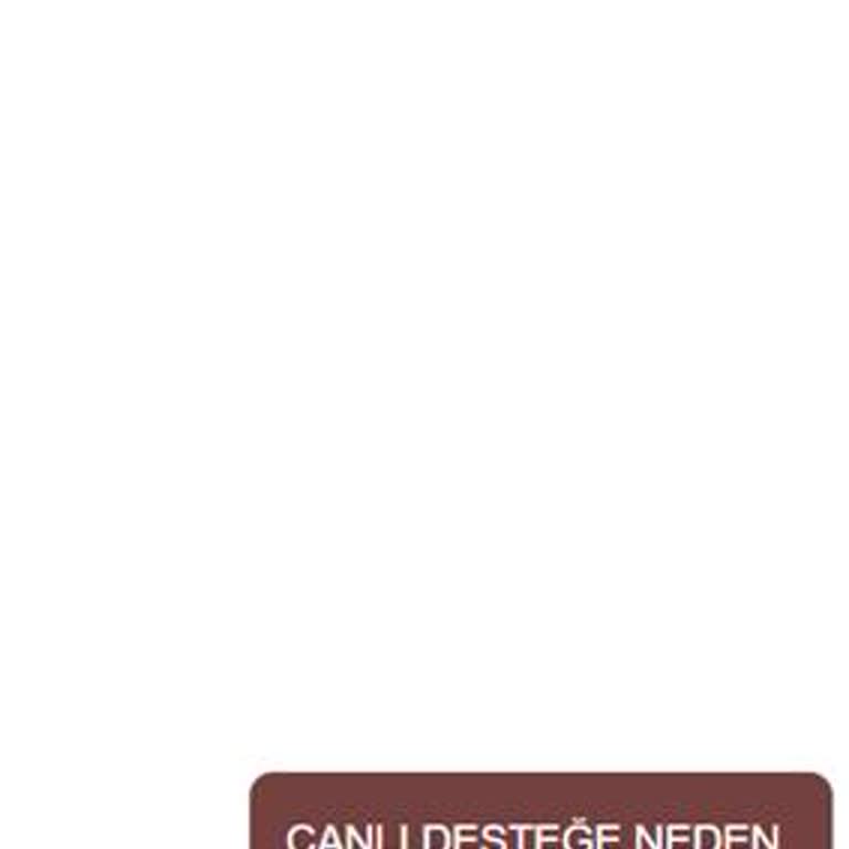 RP Satın Alımım Hesaba Yansımadı Ve Canlı Destek Yardımcı Olmadı
