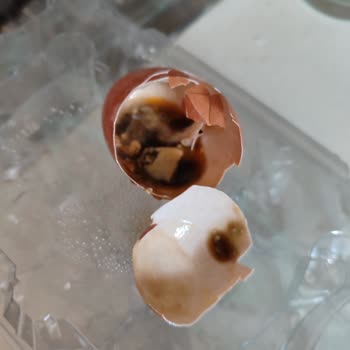 Migros Sanal Market’ten Gelen Taze Olmayan Yumurtalar Gıda Güvenliğini Tehdit Ediyor