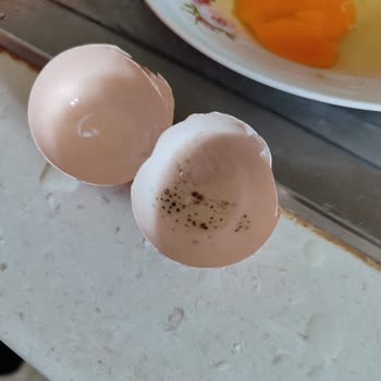 Migros Sanal Market’ten Gelen Taze Olmayan Yumurtalar Gıda Güvenliğini Tehdit Ediyor