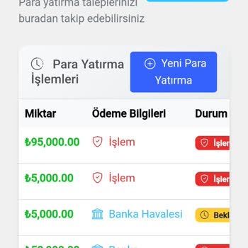 Akbank'tan Şüpheli Hesapların Dondurulması Ve 100 Bin TL'nin İadesi