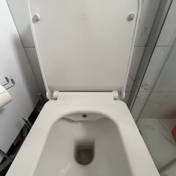 Seramiksan Klozet Kapağının Yavaş Kapanma Mekanizması Ve Takoz Parçaları Talebi