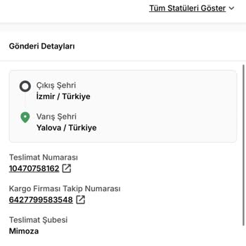 Teslim Edildi Görülen Elektronik Kargo Elime Ulaşmadı