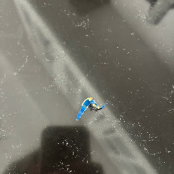 Zühre Ana Badem Ve Ananaslı Meyve Barında Çocuk Boğazına Tehlike Yaratacak Plastik Parça